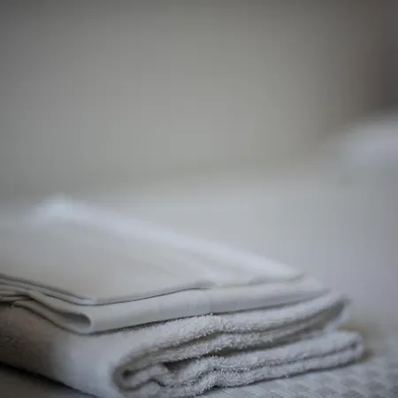 Hotel Aer Bj Vittoria 2*