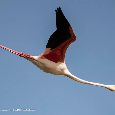 Hotel Aer Bj Vittoria Hotel