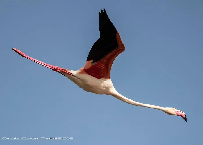 Aer Bj Vittoria Hotel